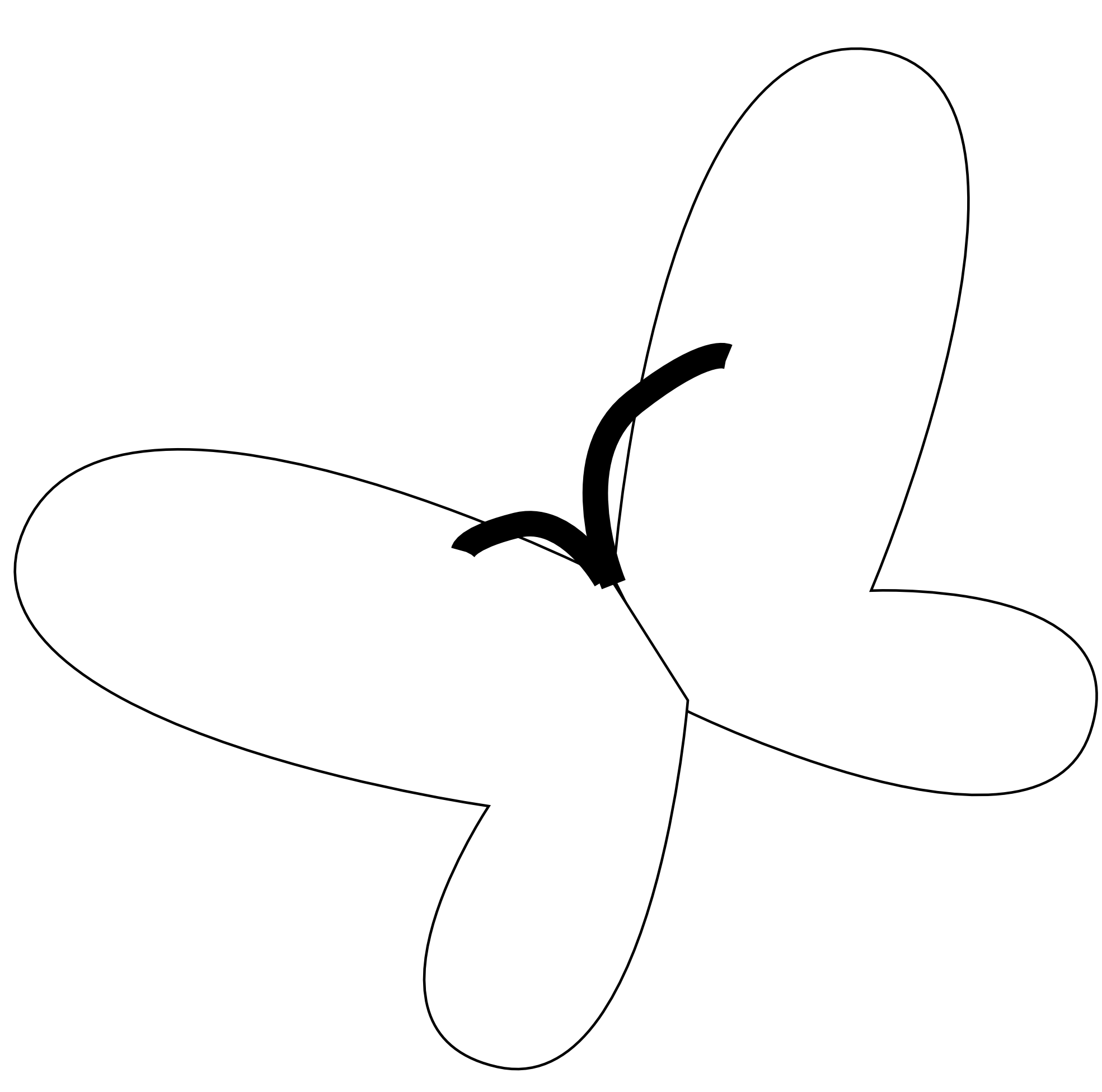 Butterfly 69 Black White Line Art Scalable Vector Graphics SVG ...