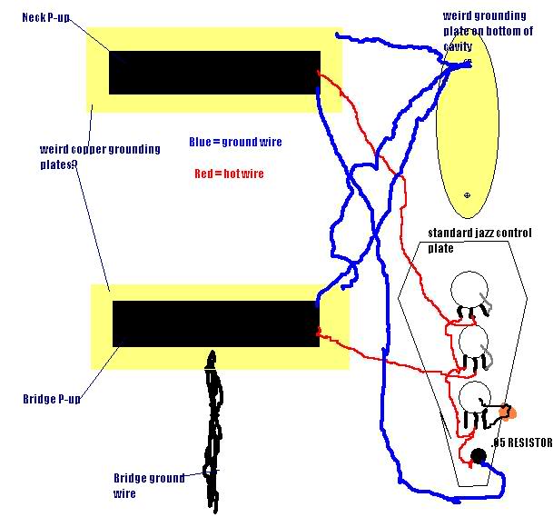 cavities diagram quiz cavities diagram images frompo cavities diagram quiz cavities diagram images frompo