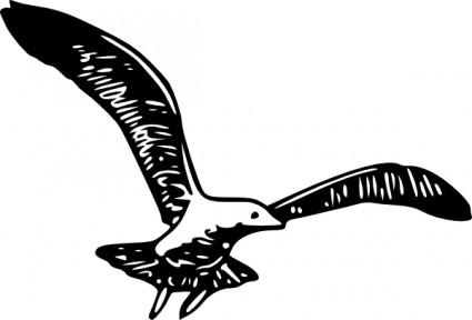 Herring Gull B clip art Vector clip art - Free vector for free ...
