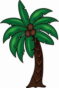 Beware of the Wronged Coconuts! | Garden Rant