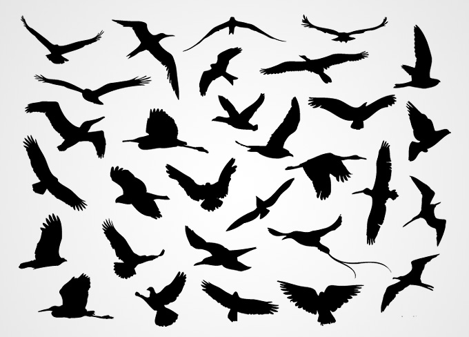 Black Flying Bird Silhouettes Vector