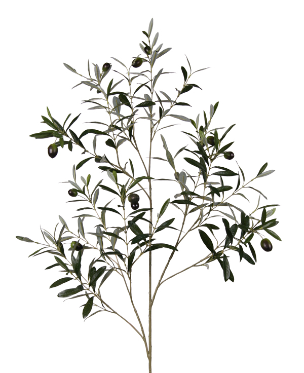 clip art olive leaves - photo #50
