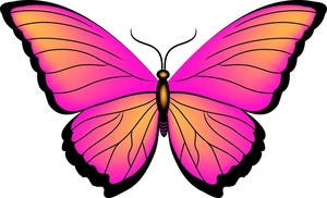 Butterfly Clipart Image - Pink and Orange Butterfly