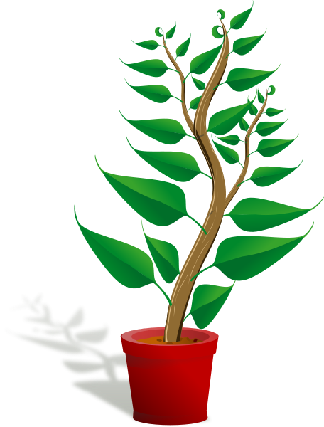 Green tall plant in its pot Clipart, vector clip art online ...