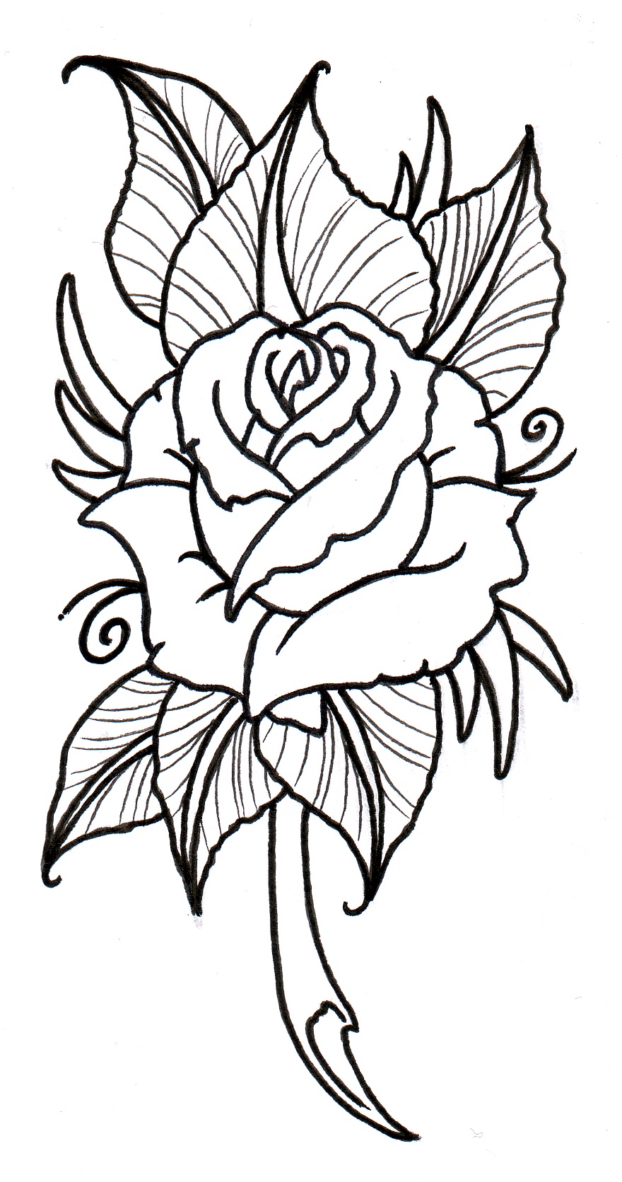 Line Drawings Of Roses - ClipArt Best