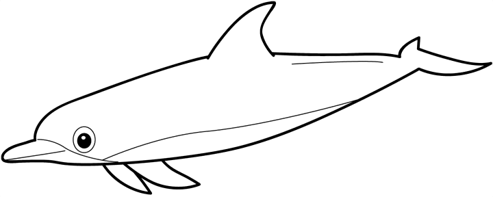 free dolphin Clipart dolphin icons dolphin graphic