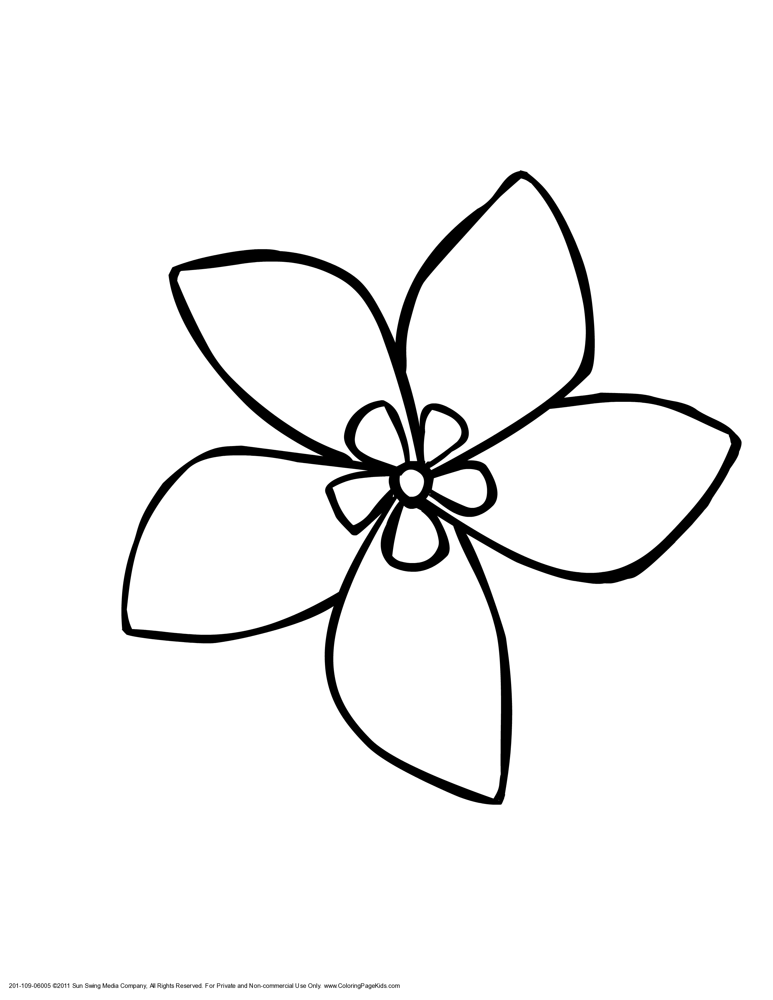 Jasmine Flower Coloring Pages - AZ Coloring Pages