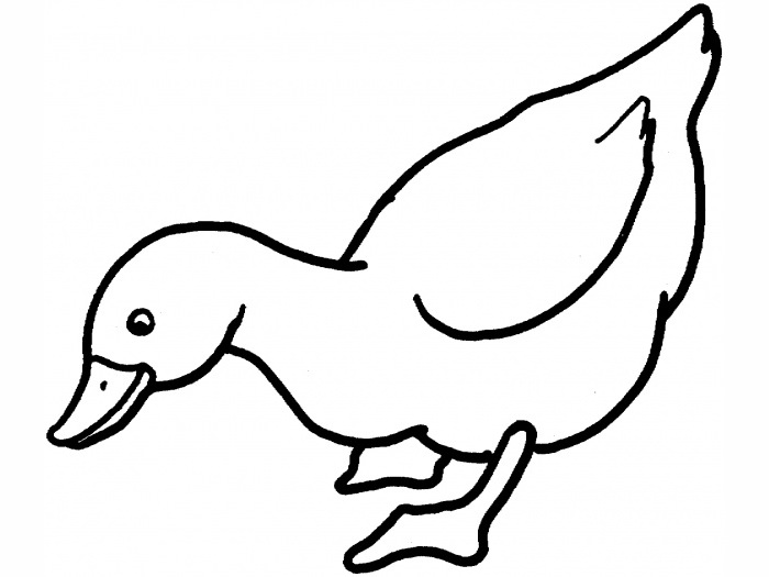 ducks eating clip art