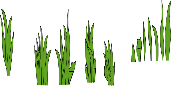 Cartoon Grass Panda Clipart