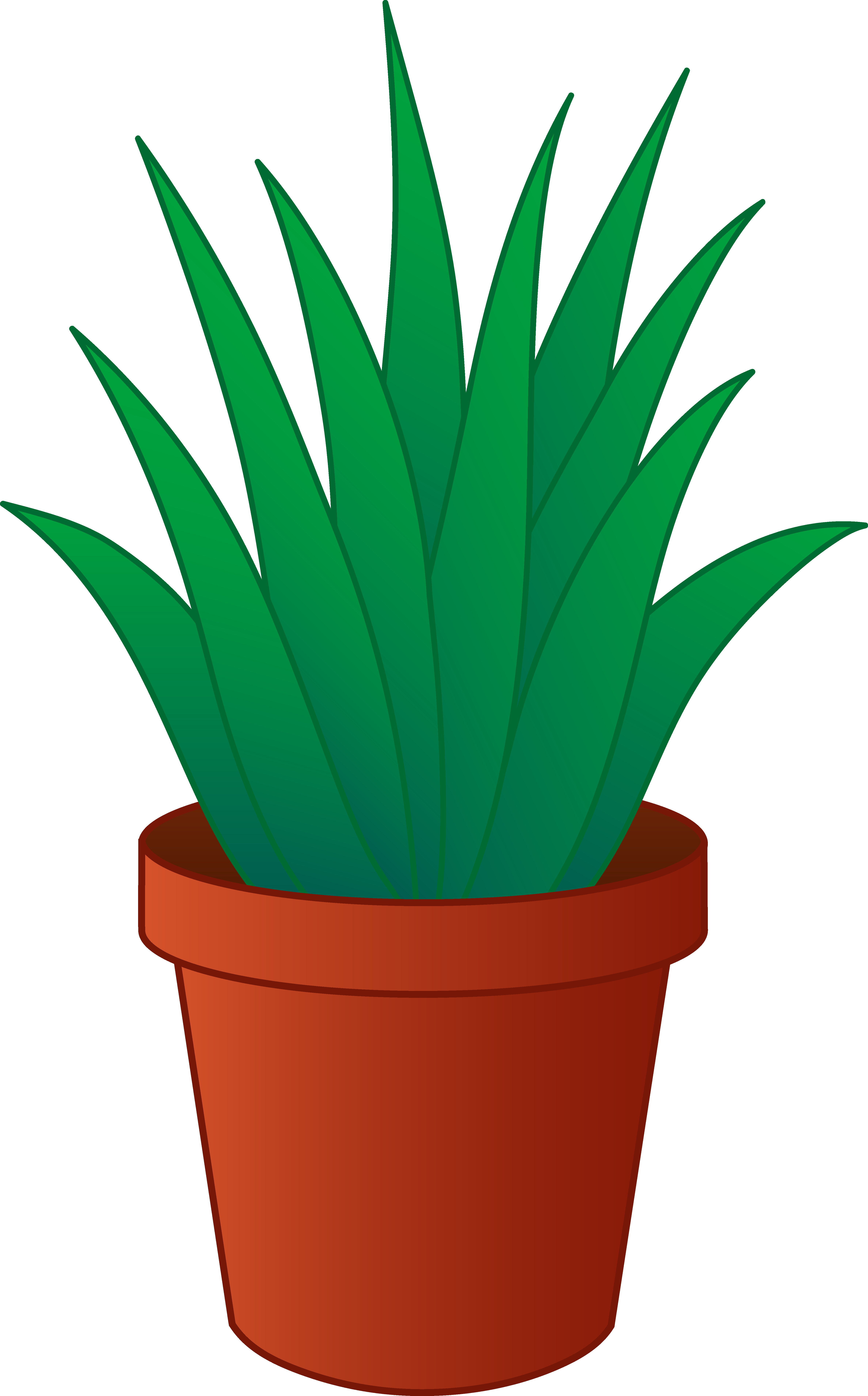 Plants cartoon images