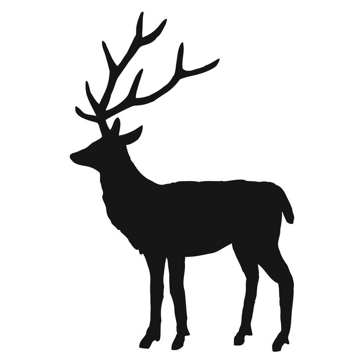 Deer Templates ClipArt Best