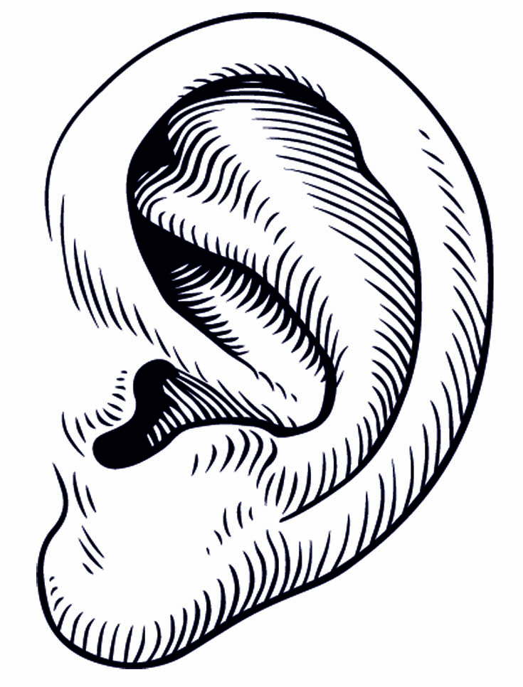 Image Of An Ear | Free Download Clip Art | Free Clip Art | on ...