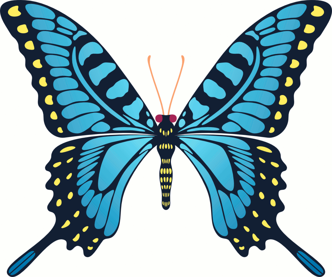 Animated Flying Butterfly Clipart - Free to use Clip Art Resource