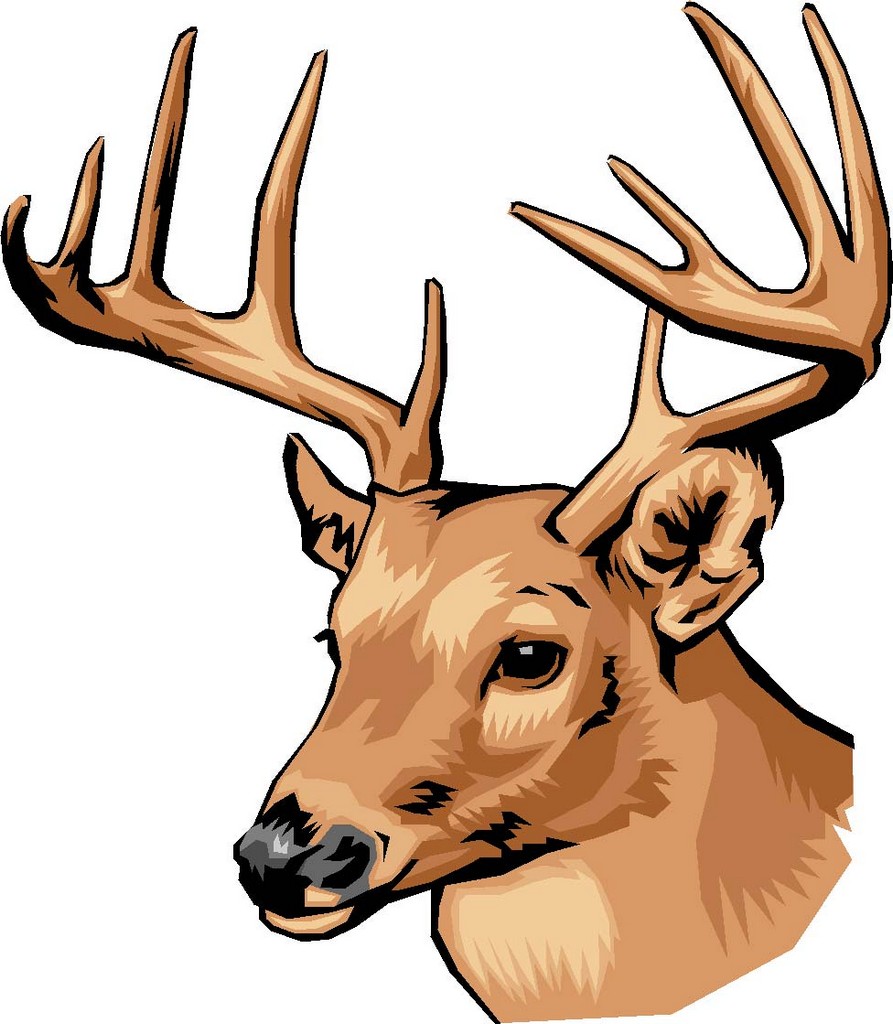 Deer Drawing - ClipArt Best