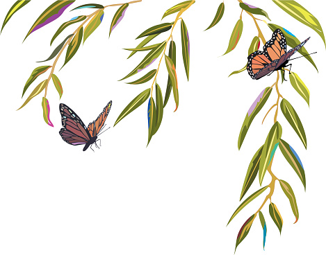 Willow Tree Clip Art, Vector Images & Illustrations