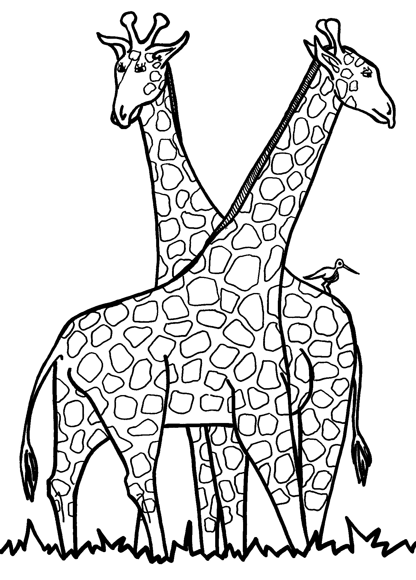free giraffe clipart black and white - photo #19