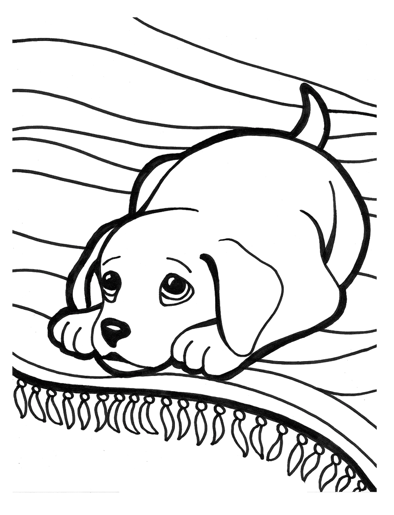dog+coco Colouring Pages