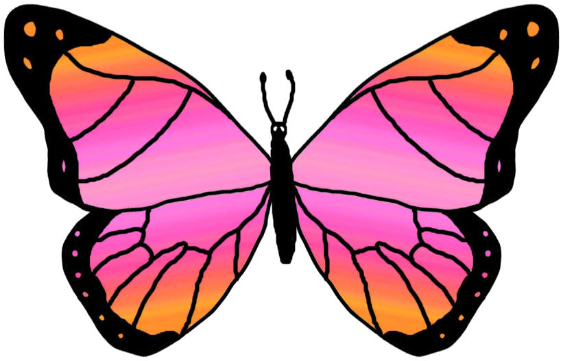 Clipart Butterfly Outline - Free Clipart Images