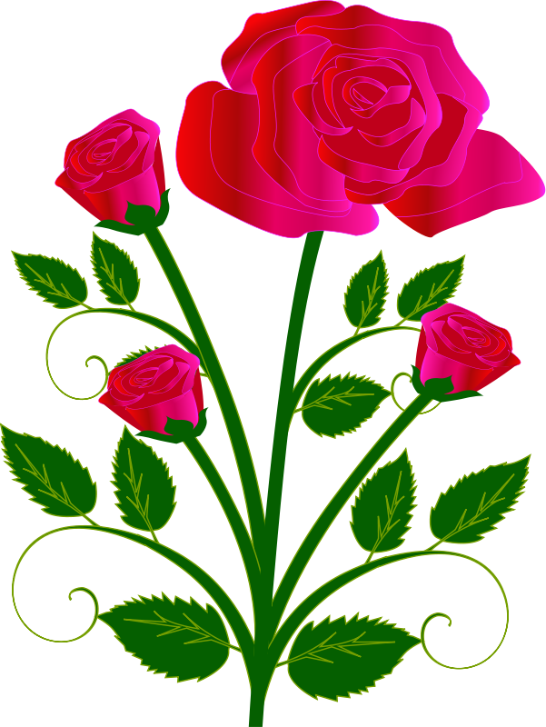 single rose clipart - photo #32