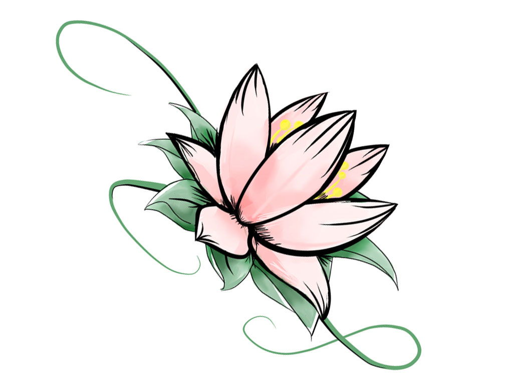 Simple Lotus Flower Sketch - Picture Gallery