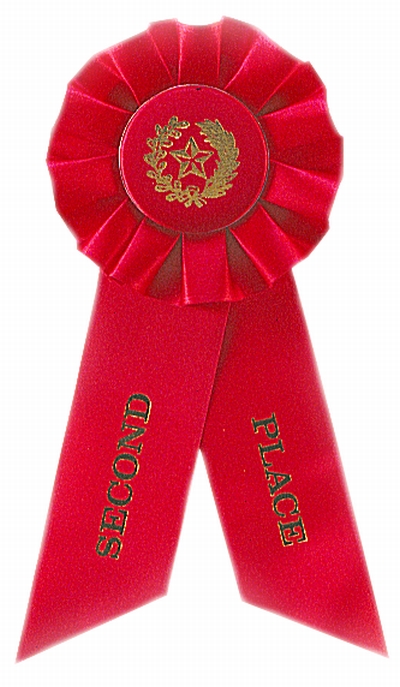 2nd Place Red Rosette Award Ribbon | Ribbons Rosette Style from ...