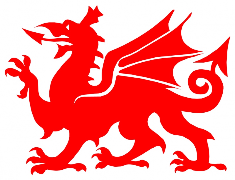 WELSH DRAGON 9065 Self adhesive vinyl Sticker Decal | Signs by Post