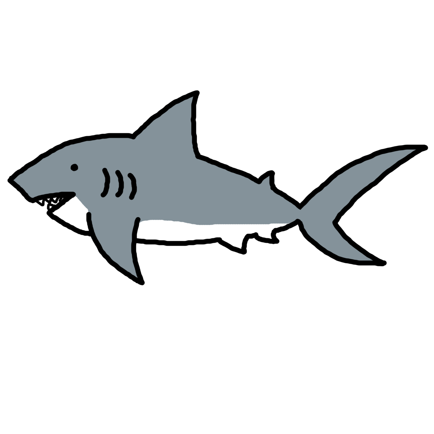 Shark Drawings Clipart