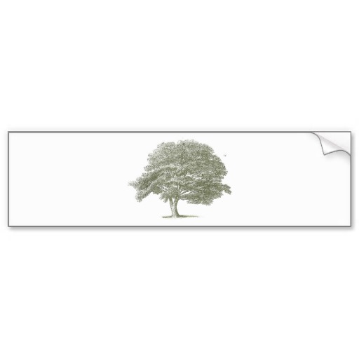 Elegant Wedding Tree Graphic Template Bumper Sticker from Zazzle.