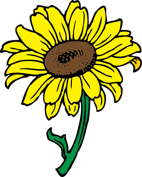 Sunflower clip art Free Vector