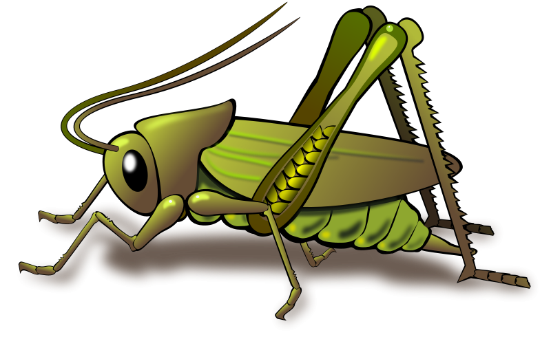 Free Insect Clipart Pictures - Clipartix