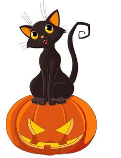 Cat Halloween Decoration Ideas You May Not Know About | Pictures ...