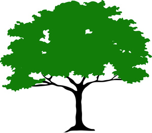African tree clipart