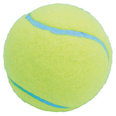Tennis Balls --- Bishop Sports & Leisure Ltd - Home for Sports and ...