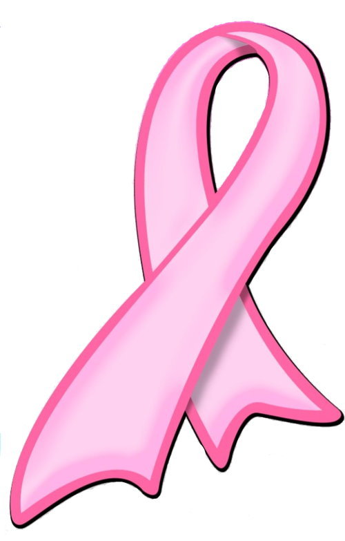 Pink Ribbon Car Auto Magnet Breast Cancer Awareness