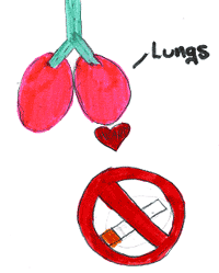 Kids' Health - Topics - Your lungs