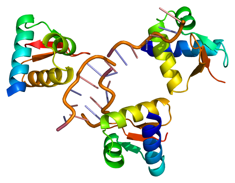 RNA-binding protein