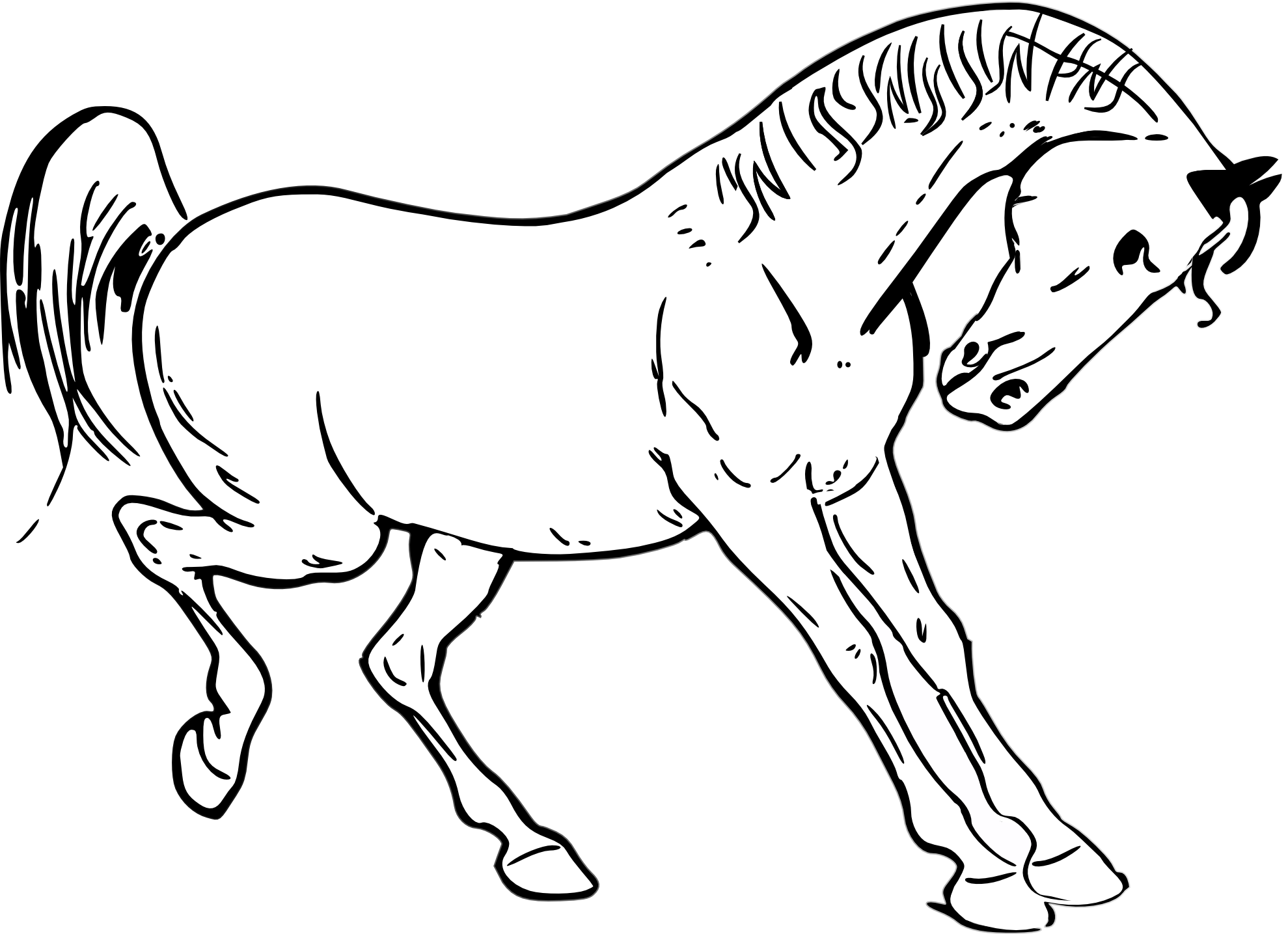 prancing horse outline black white line art ...