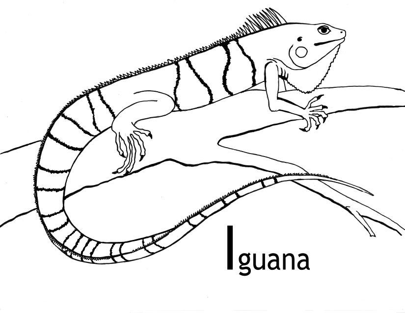 iguana clipart black and white - photo #12