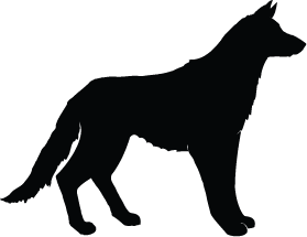 Wolf Silhouette | Silhouette of Wolf