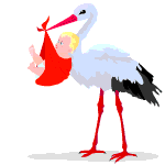 Stork Graphics and Animated Gifs