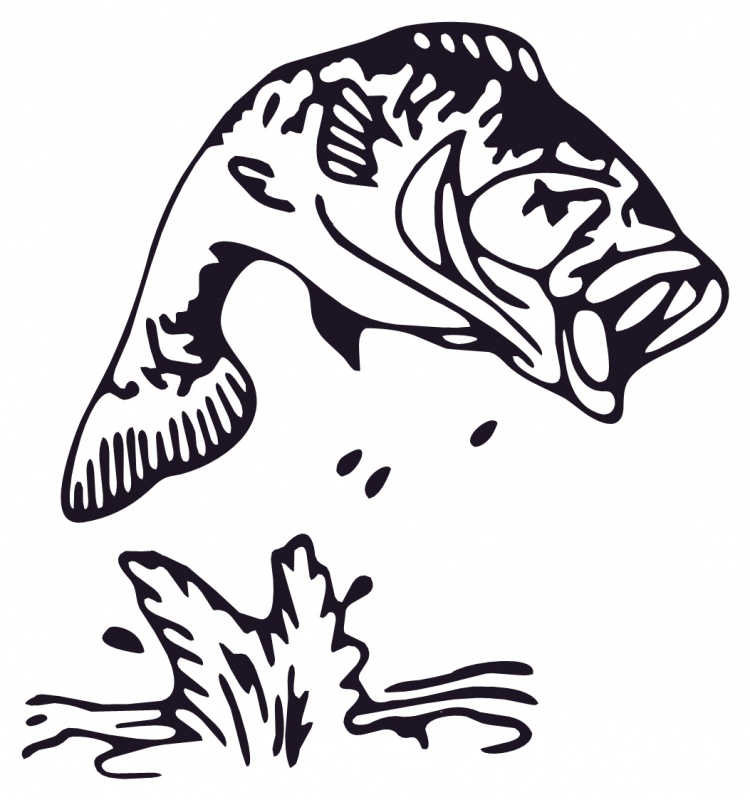 Bass Fish Drawings - ClipArt Best