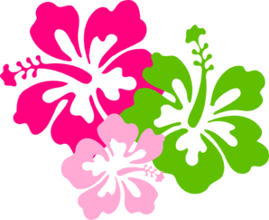 hibiscus-pink-green-md.png