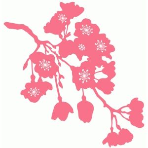 Cherry Blossom Branches | Cherry ...