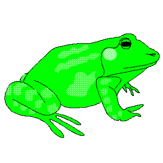 Froggy Clip Art (Color) Page 1