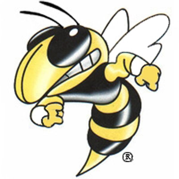 1000+ images about Hornet logo