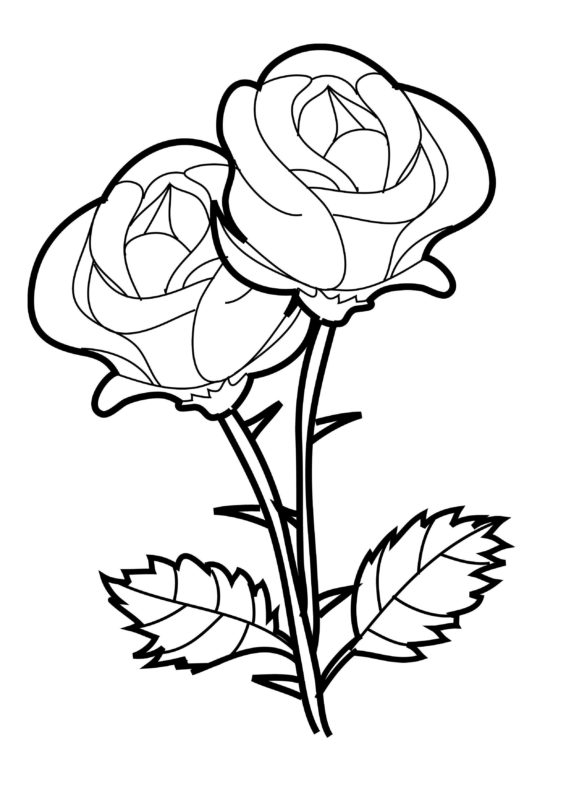 30 Rose Coloring Pages - ColoringStar