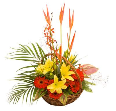 Flower Mixed Gift Baskets, gift boxes, florist Wellington, same ...