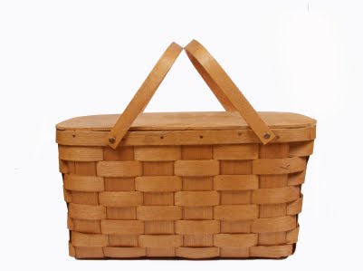 picnic-basket : Polk City Community Library