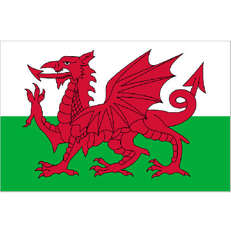Welsh Dragon | Welsh Dragon flag | Welsh flag | flag of Wales