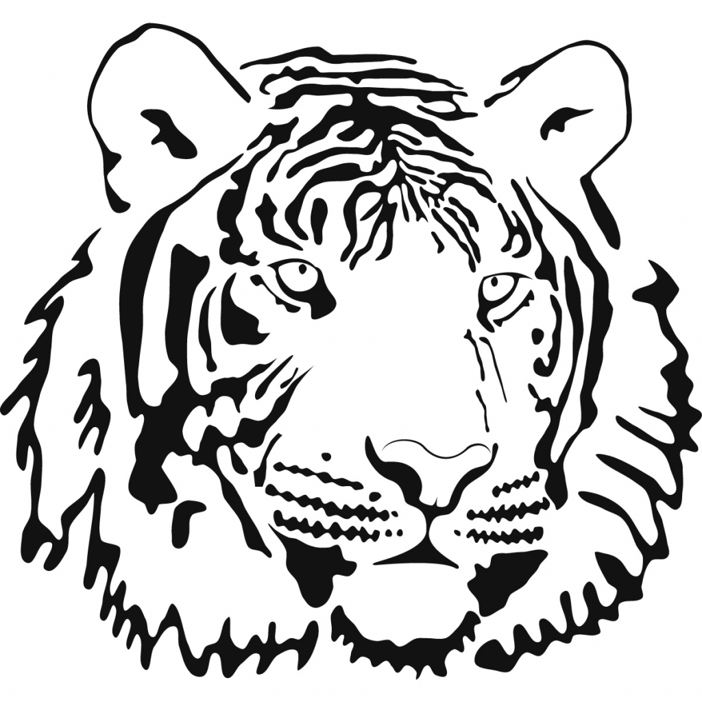 Tiger Outline Drawing - Drawing Art Gallery